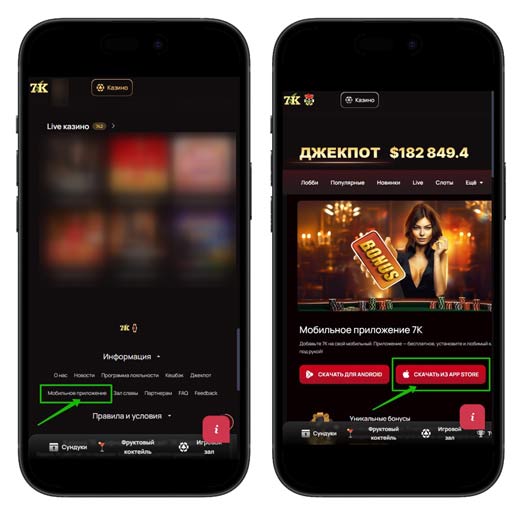 Мобильное приложение